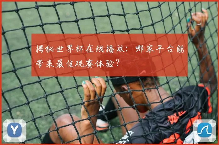 揭秘世界杯在线播放：哪家平台能带来最佳观赛体验？