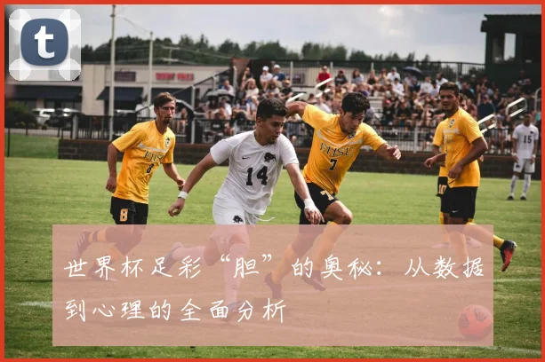 世界杯足彩“胆”的奥秘：从数据到心理的全面分析
