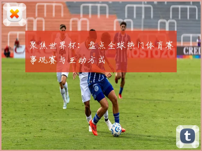 聚焦世界杯：盘点全球热门体育赛事观赛与互动方式