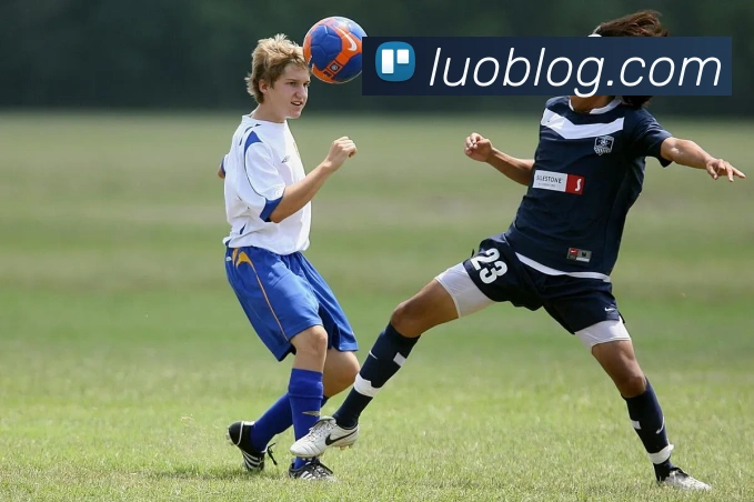 App Interface Preview