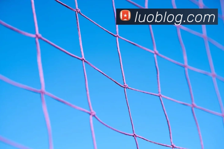 奇异果官网入口APP 封面图